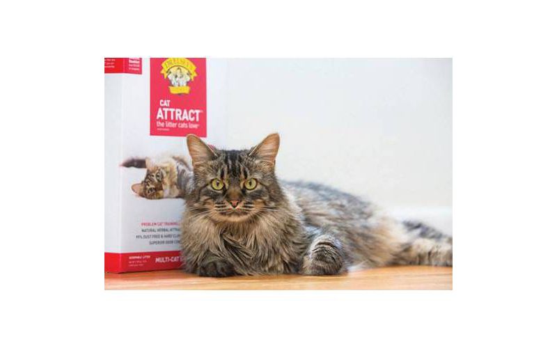 Dr. Elsey's Cat Attract Litter - 20lbs