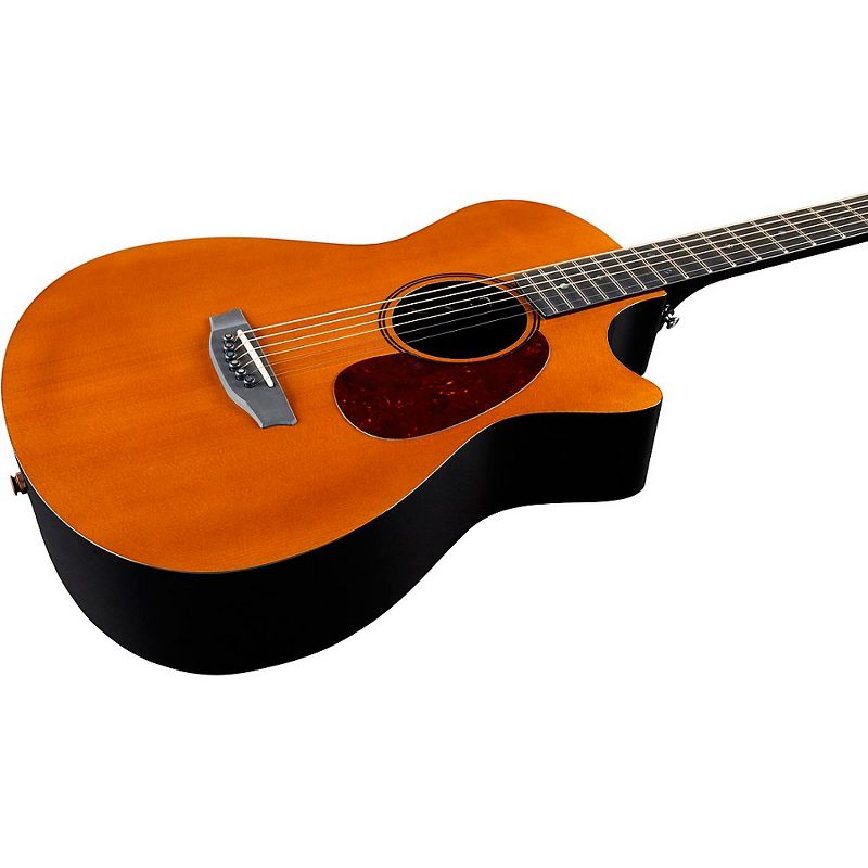 RainSong Vintage Series OM Acoustic-Electric Guitar Vintage Tint