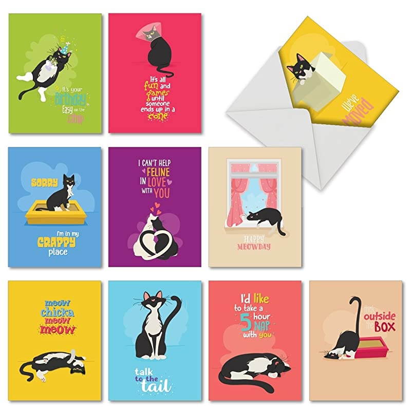 10 All Occasion Blank Cat Cards (4 x 5.12 Inch) - Cute Assorted Bulk Card Set - Catty Cards M6558OCB