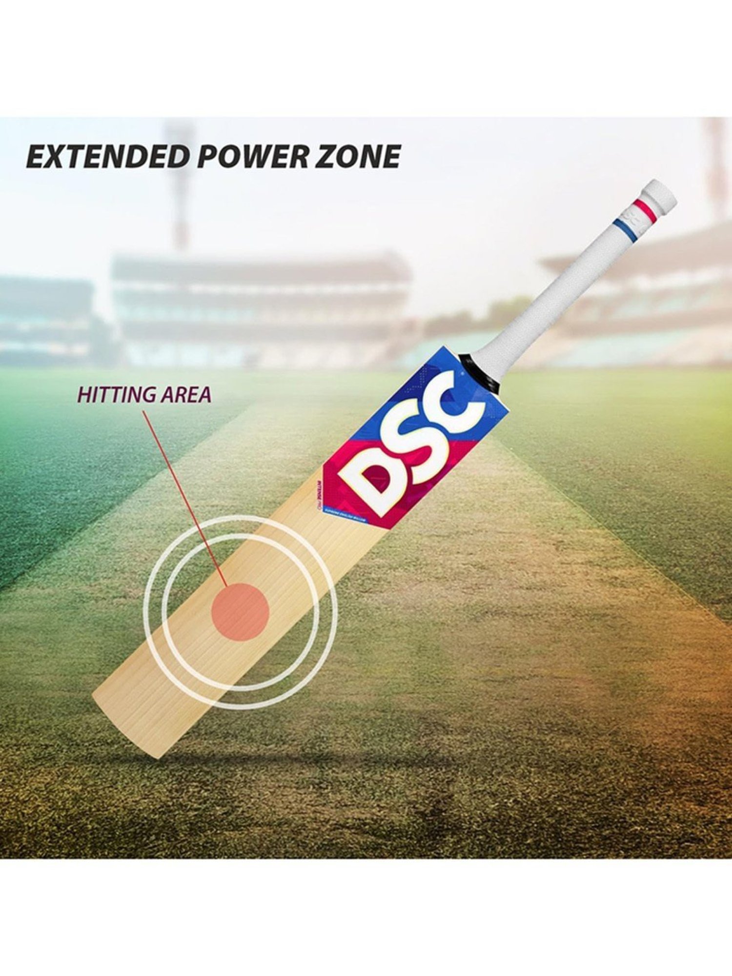 DSC Intense Pro English Willow Professional Cricket Bat for Men and Boys Size - 6