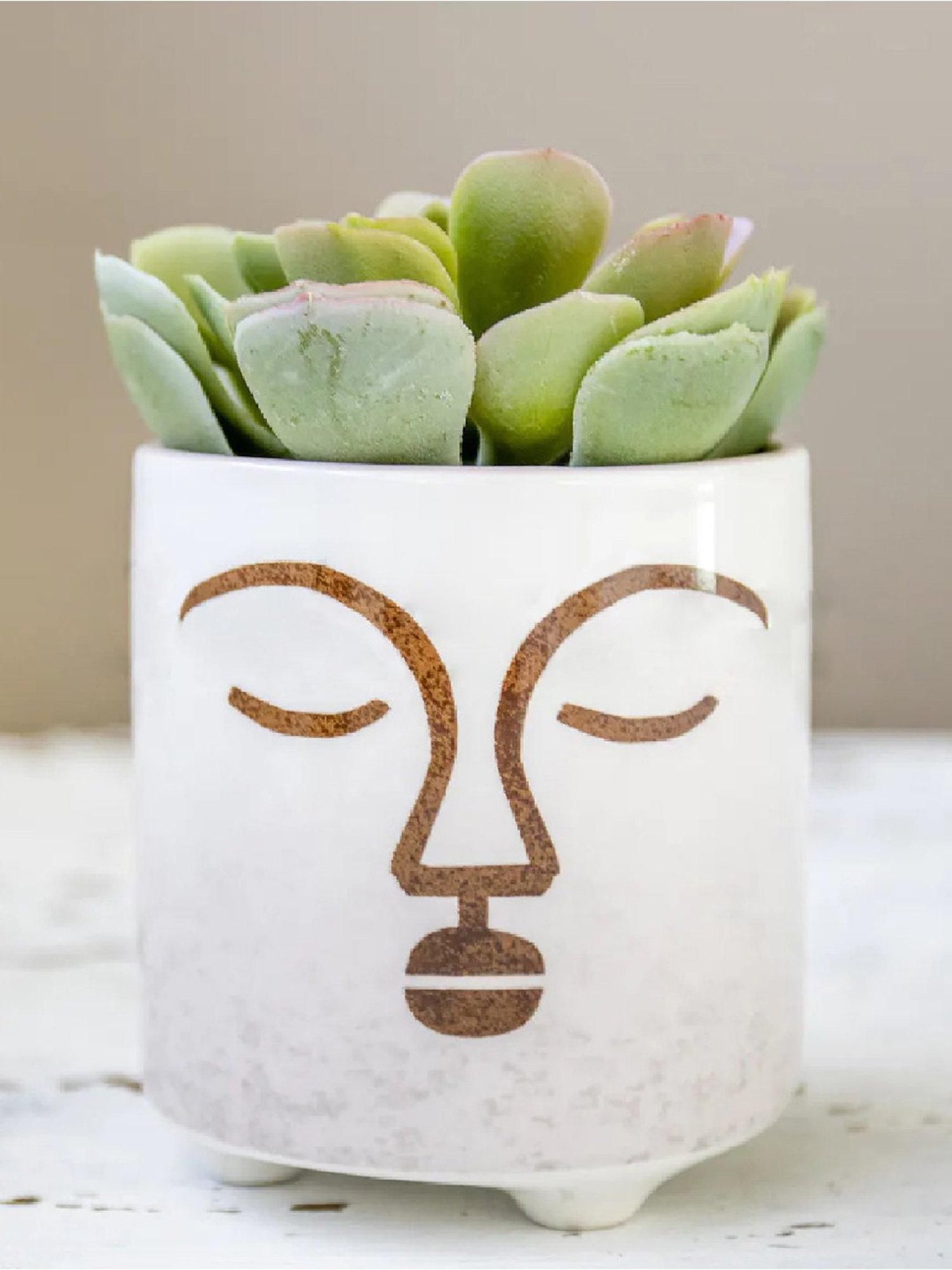 KitchenCraft White Terracotta Face Design Mini Planter Pot