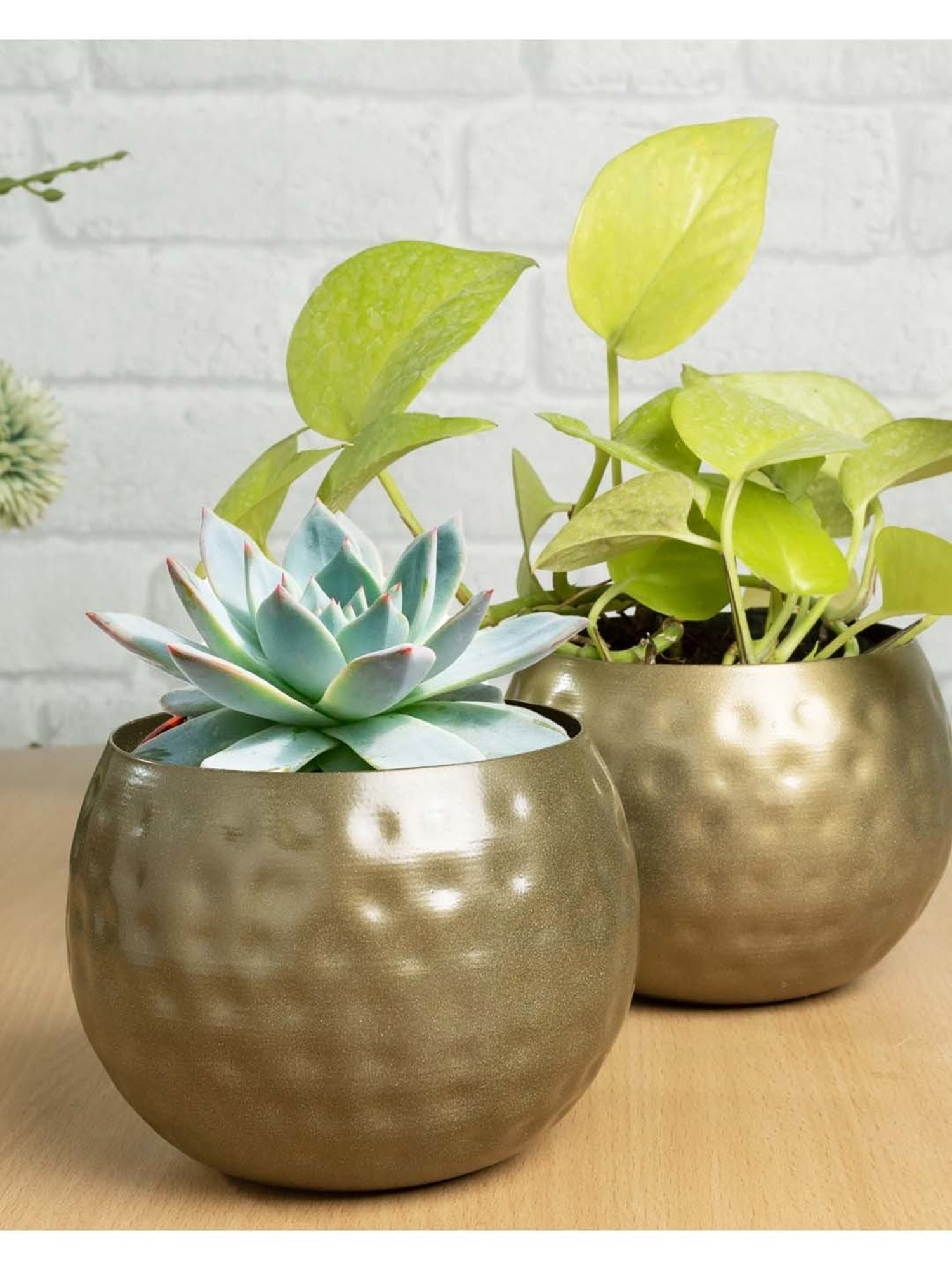 Mason Home Gold Anar Vase - Small