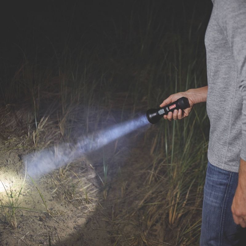 Eveready LED Pocket Flashlight