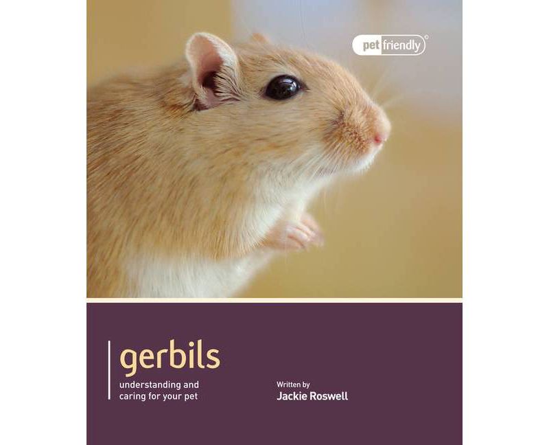 Gerbils - (Pet Friendly) by  Jackie Roswell (Paperback)