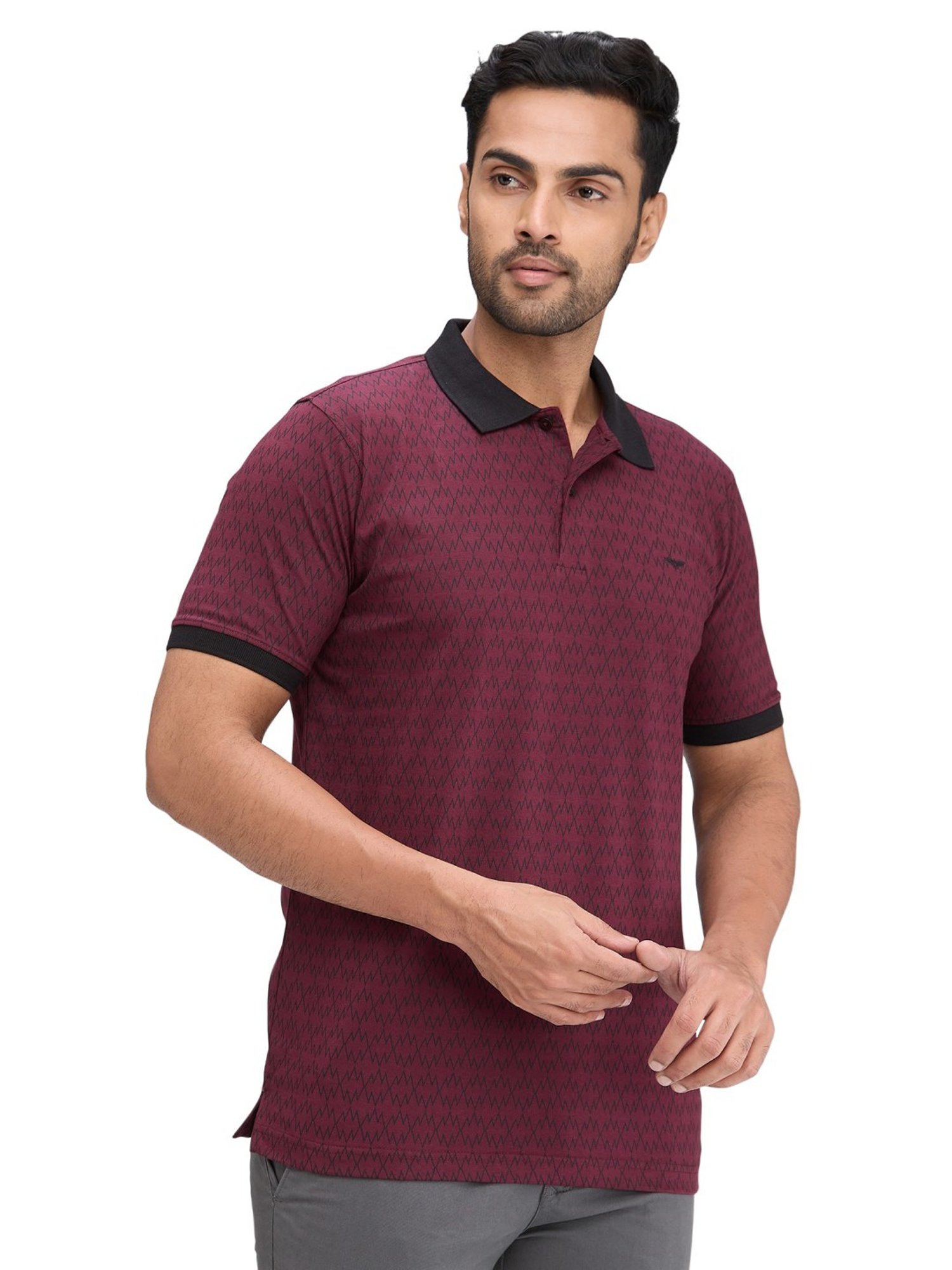 Park Avenue Maroon Slim Fit Printed Polo T-Shirt