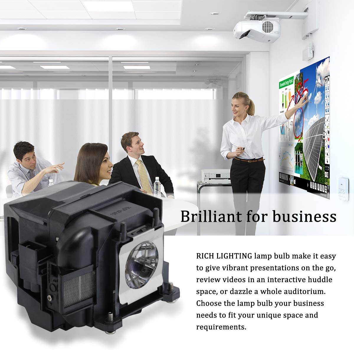 RICH LIGHTING LP88 Projector Lamp Bulb for Epson Elplp88 Powerlite Home Cinema 1040 2045 740HD 2040 1264 EX3240 EX7240 VS240 S27 X27 W29 97H 98H VS340 VS3445 V13H010L88 Replacement Projector Bulbs