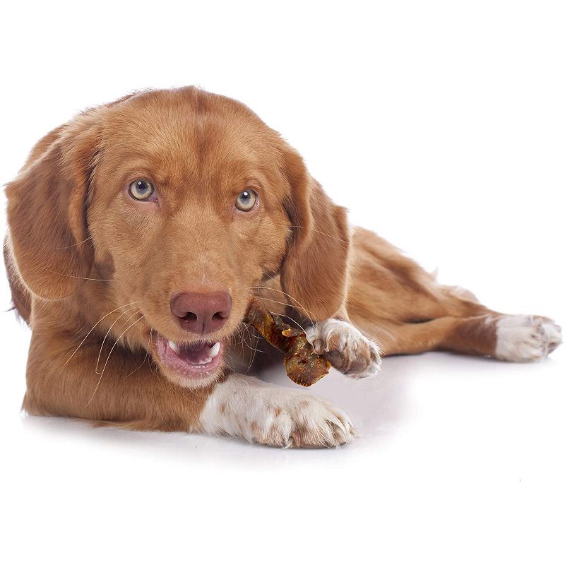 Cadet Duck & Sweet Potato Wraps (14 oz Pack)