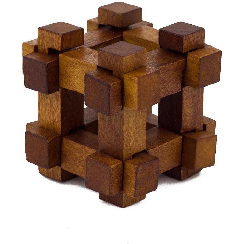 Professor Puzzle Great Minds Brain Teaser Puzzle 5 Piece Set