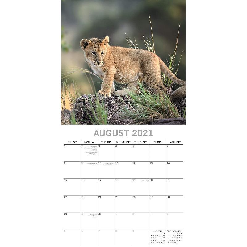 2021 The Everygirl Wall Calendar 15" x 12" Liam - Blue Sky