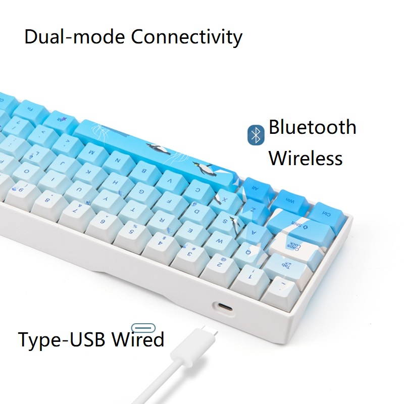 RK71 Mechanical Keyboard RGB Backlit 71 Keys Small Compact Gaming Keyboard, PBT Keycaps Wired/Wireless Bluetooth Mini Keyboard for iOS Android Windows PC and MacOS, Blue Switch( Cherry Blossom)