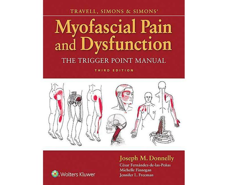 Circuit Analysis - (Quickstudy: Academic) by  Barcharts Inc (Poster)