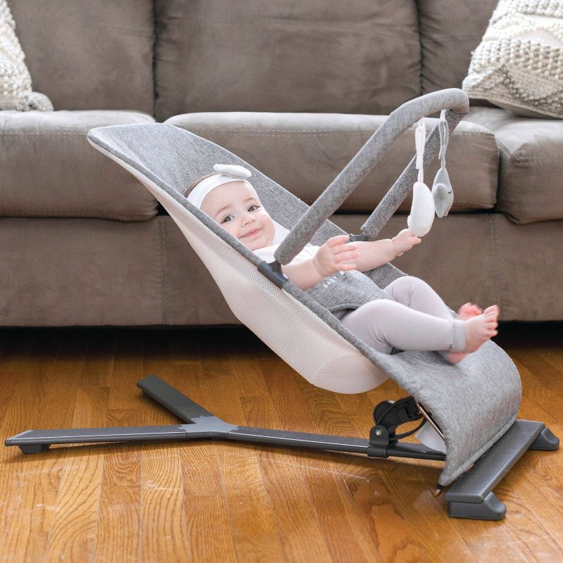 ​Fisher-Price Baby Bouncer