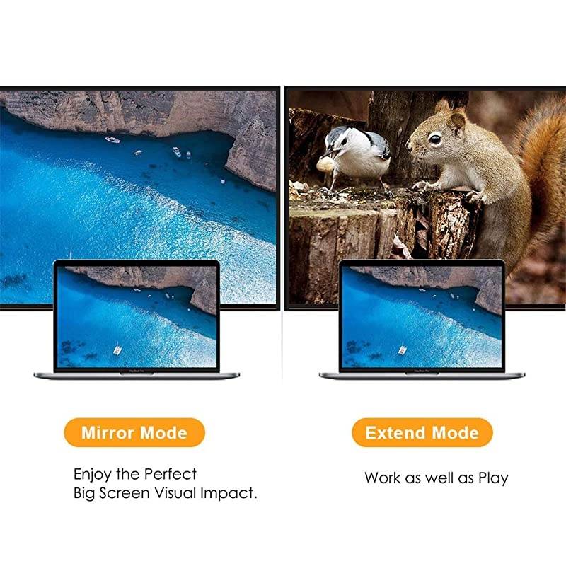 Active DisplayPort to HDMI VGA Adapter  2 in 1 DP Hub DP to HDMI VGA Converter HDMI 20 Support UHD 4K60Hz VideoAudio Black