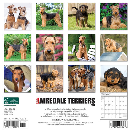 2021 Airedale Terriers Wall