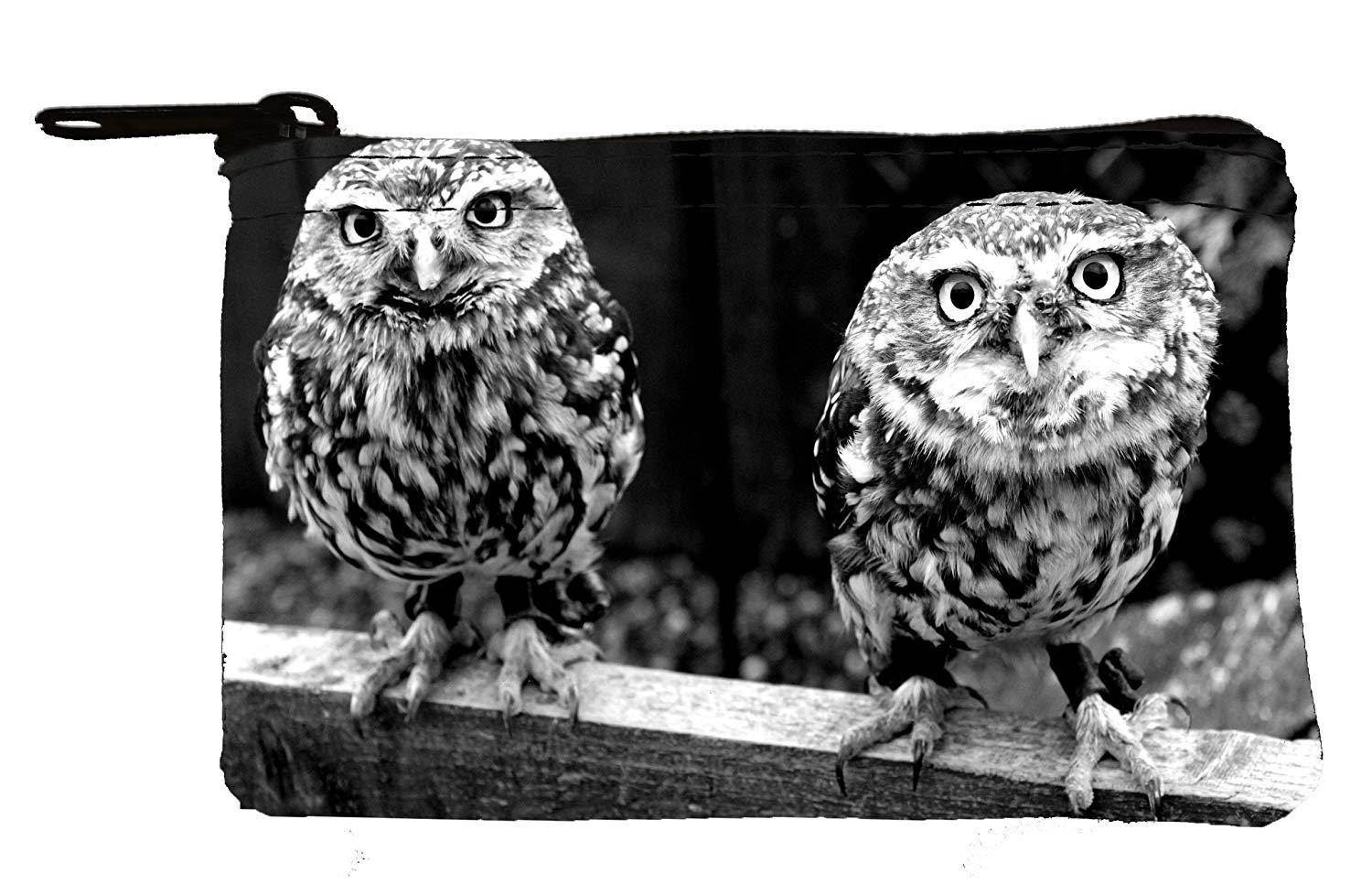 Coin Purse owl design Coin case Purses