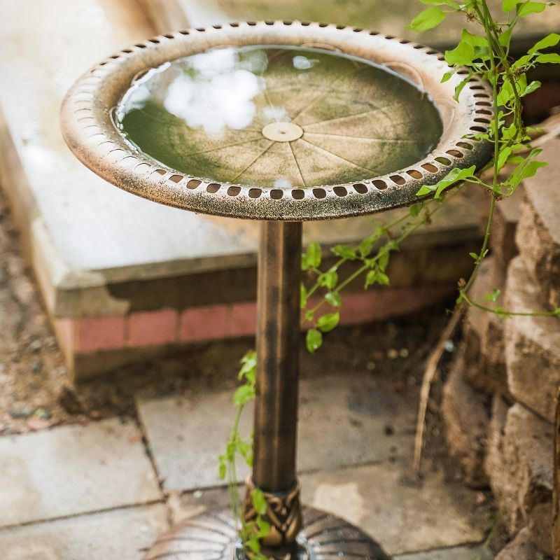 33" Lightweight Plastic Outdoor Flower Design Birdbath and Birdfeeder Bronze - XBrand