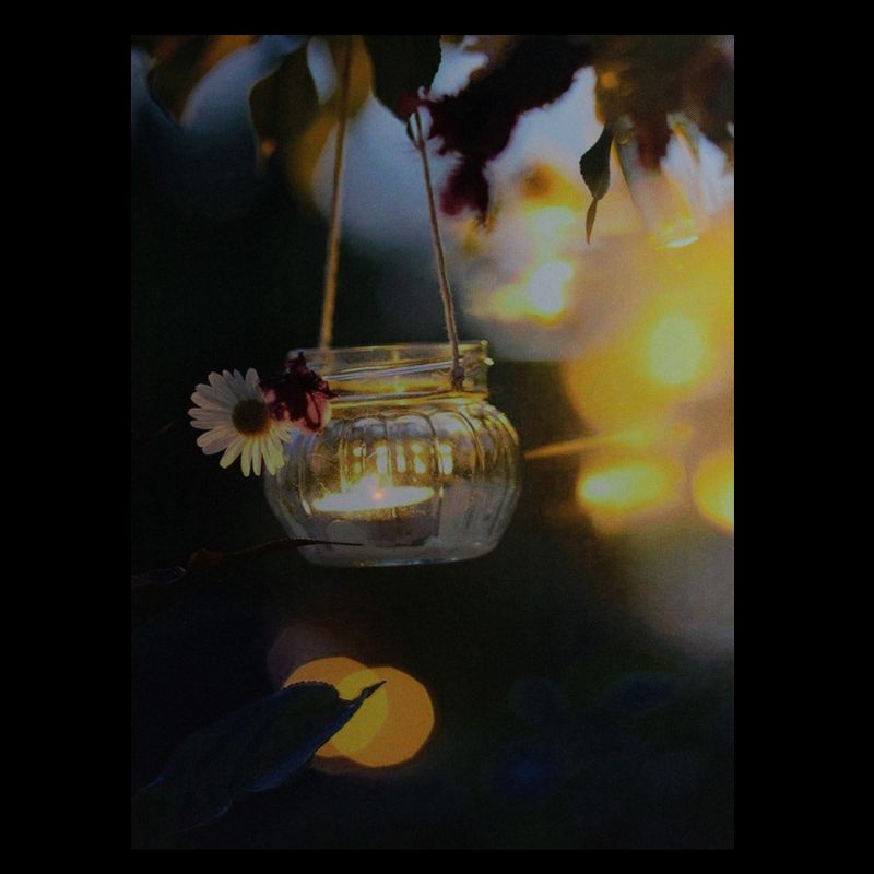 Northlight LED Lighted Tealight Candle with Daisy Scene Canvas Wall Art 15.75" x 11.75"