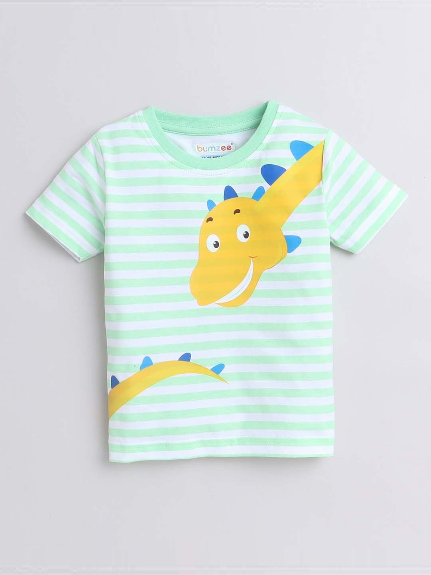 Bumzee Kids Mint Green & Yellow Cotton Printed T-Shirt Set