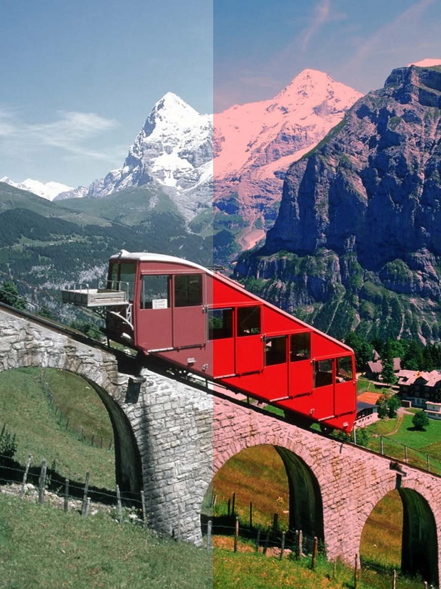 IDEE IDS2611C4SG Red Rectangular Sunglasses