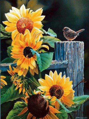 Susan Bourdet's Songbirds - Blank Card Set by Leanin' Tree (AST90634) - 20 cards with full-color interiors and 22 designed envelopes