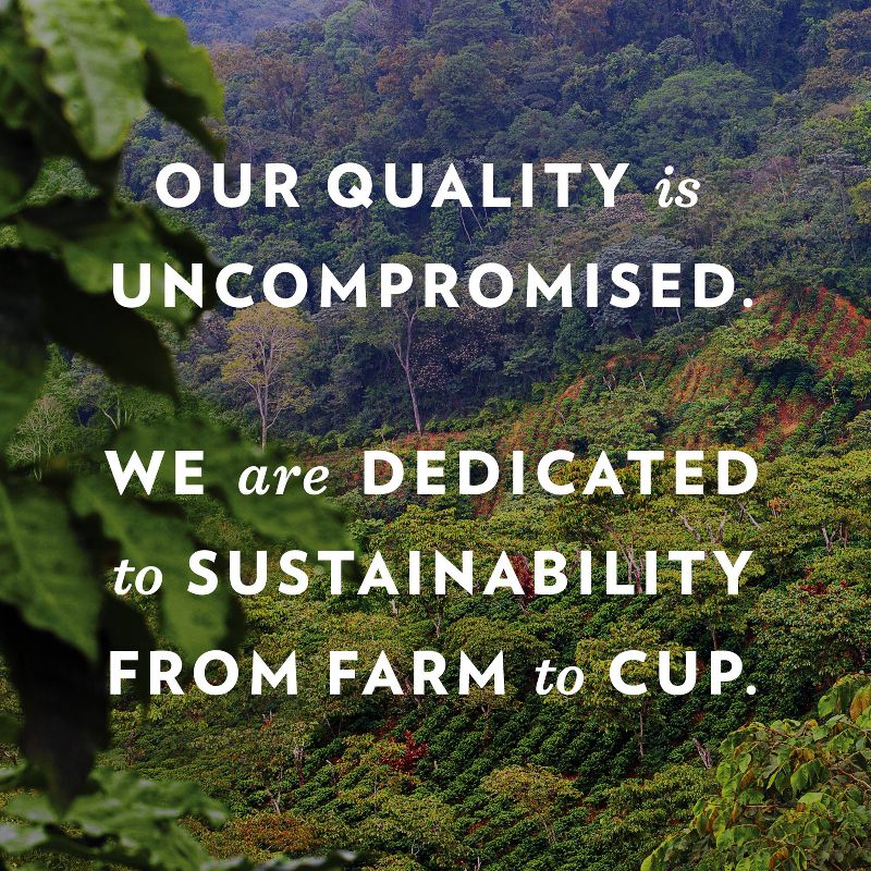 Caribou Coffee Caribou Blend Keurig K-Cup Coffee Pods - Medium Roast - 32ct