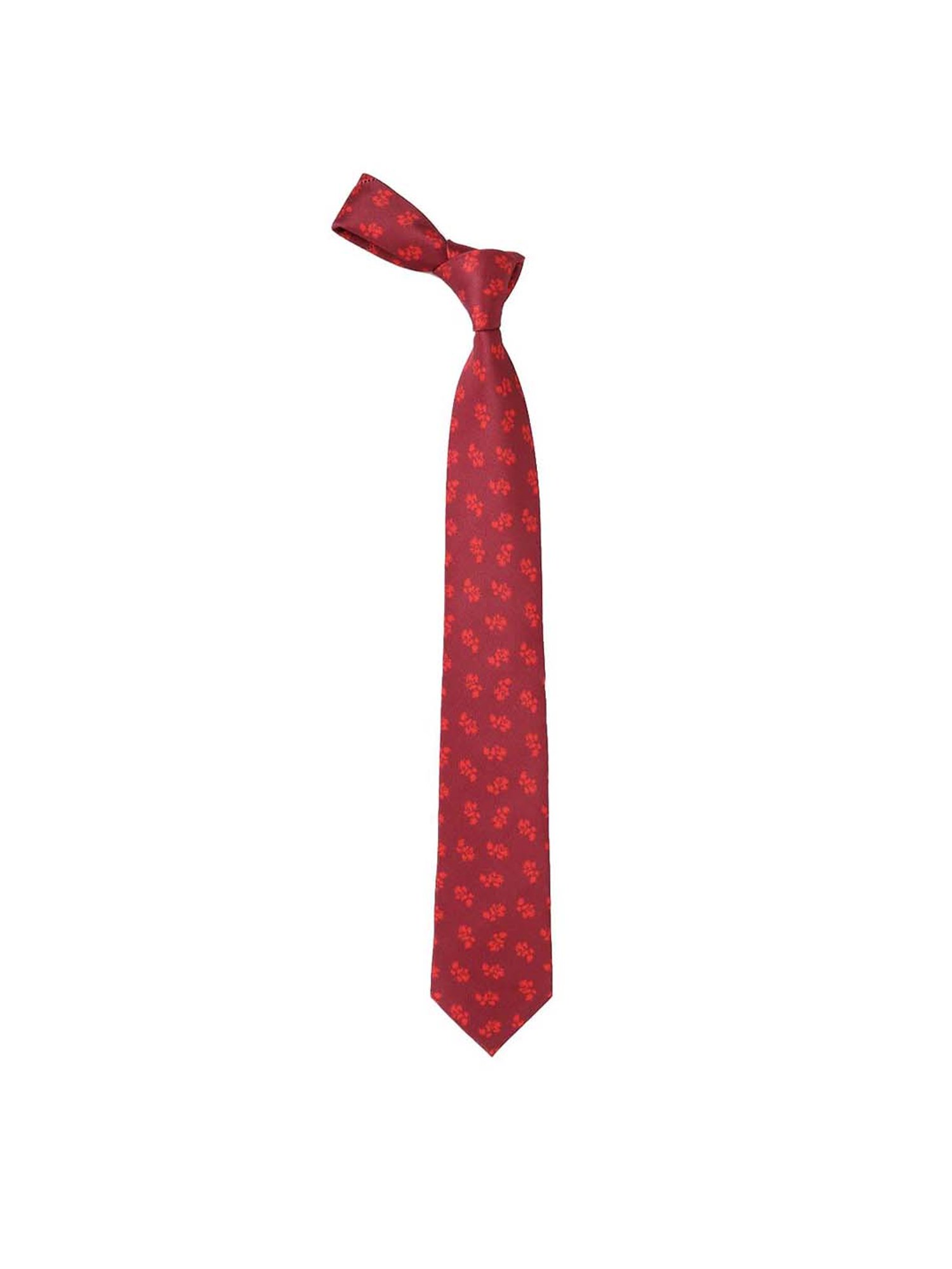 Tossido Multicolor Printed Necktie