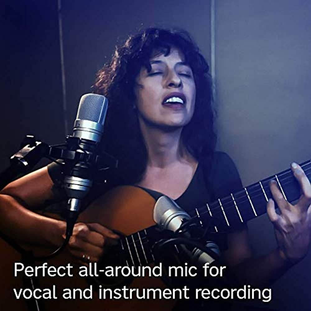 Tascam TM-80 Condenser Microphone