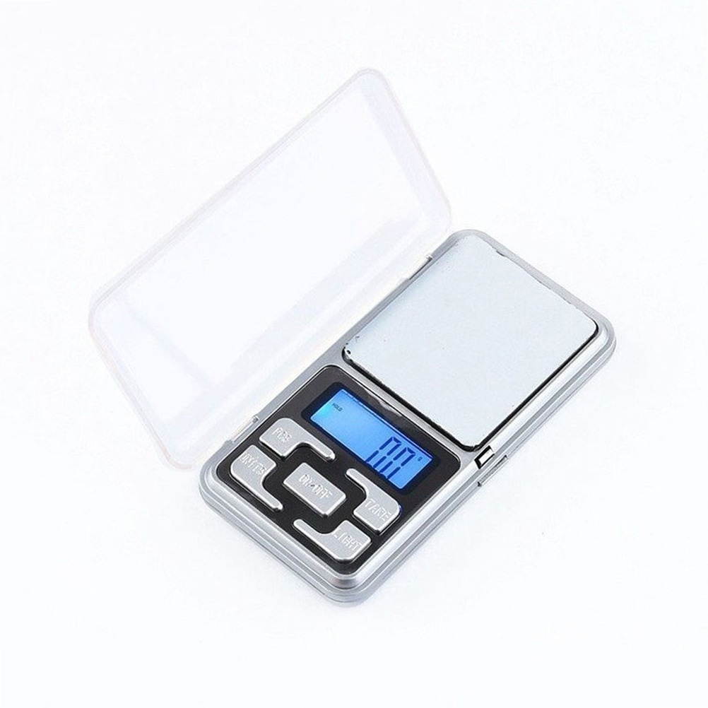 Electronic Pocket Scale 500G/0.1G Precision Jewelry Scale Balance for Diamonds and Gram Weight