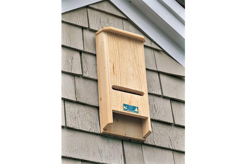 Bat House Coveside BATchelor Pad - COVESIDE CONSERVATION PRODUCTS