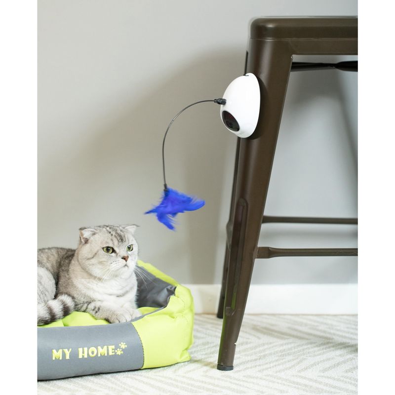 PawsMark Interactive 2-in-1 Spring Feather and Red Light Chaser Cat Toy