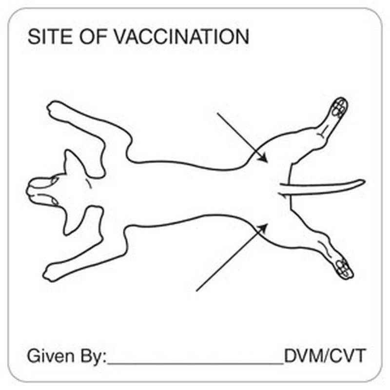 Vaccination Canine 2-1/2" x 2-1/2" White Label (Roll of 320)