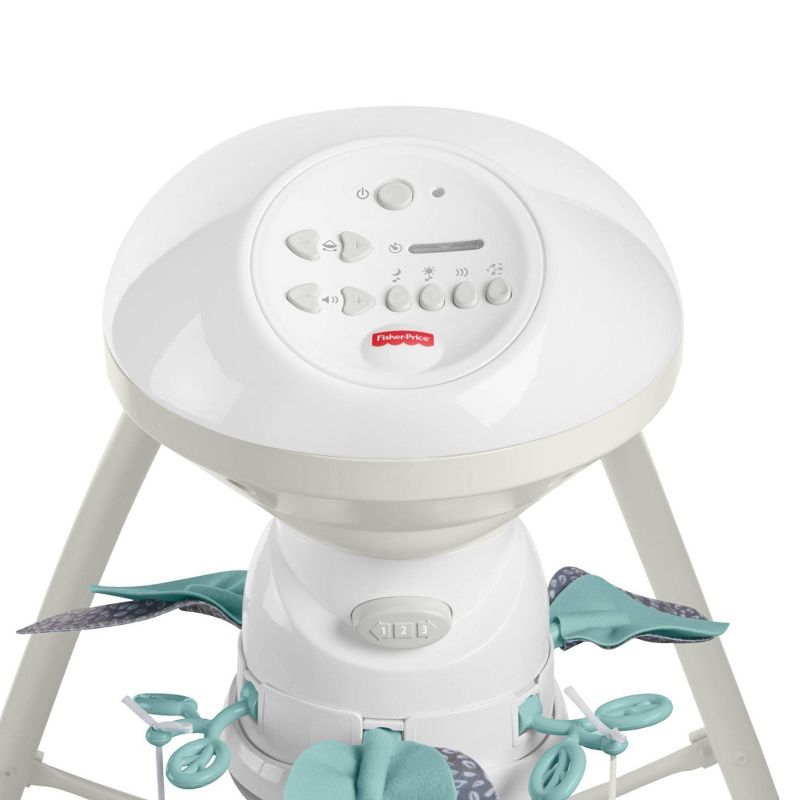 Fisher-Price Deluxe Take-Along Swing & Seat - Falling Leaves