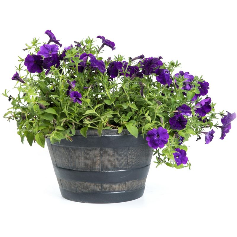 OFF! 16oz Backyard Pretreat Outdoor Fogger