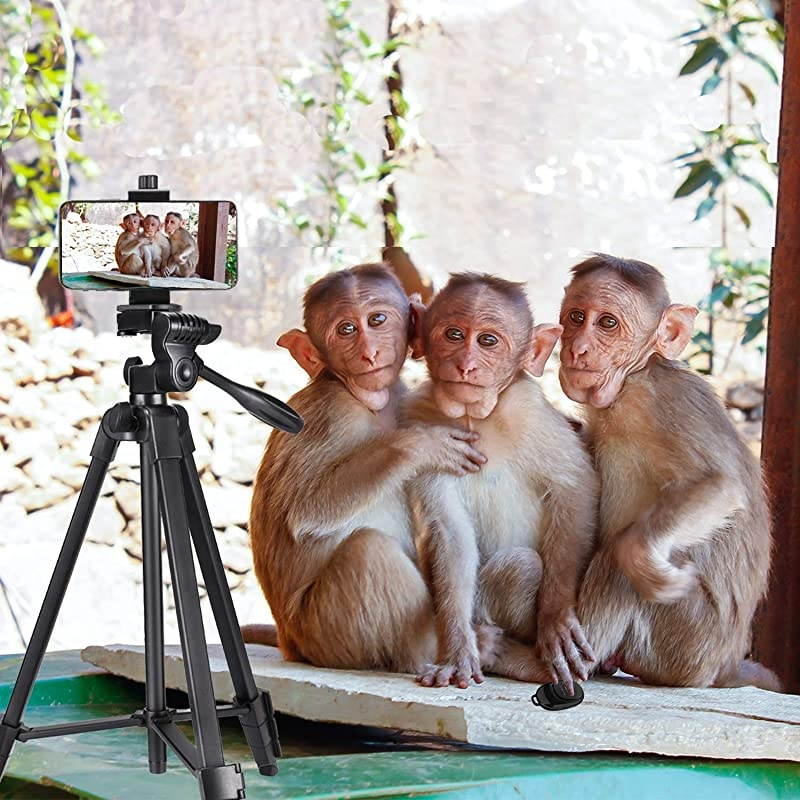 57 inch Phone Tripod  Lightweight Tripod Aluminum Portable Smartphone Tripod with Phone Holder amp Remote Shutter and Carry Bag for Travel amp Video Shooting Black