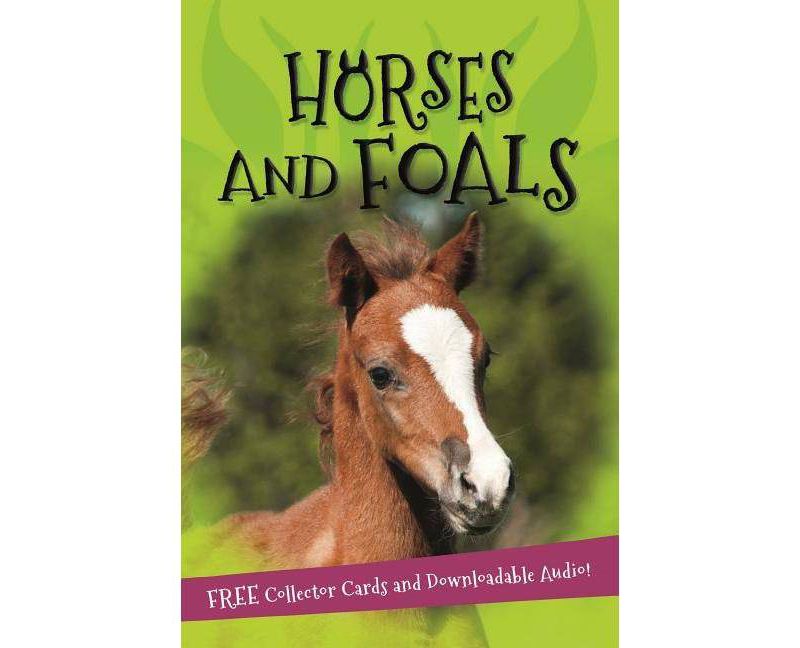 It's All About... Horses and Foals - (Paperback)