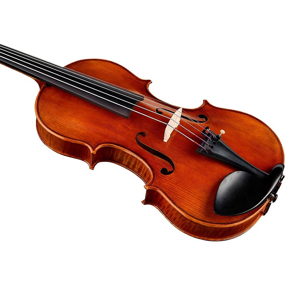 Bellafina Violina 5-string Violin Outfit 14 in.