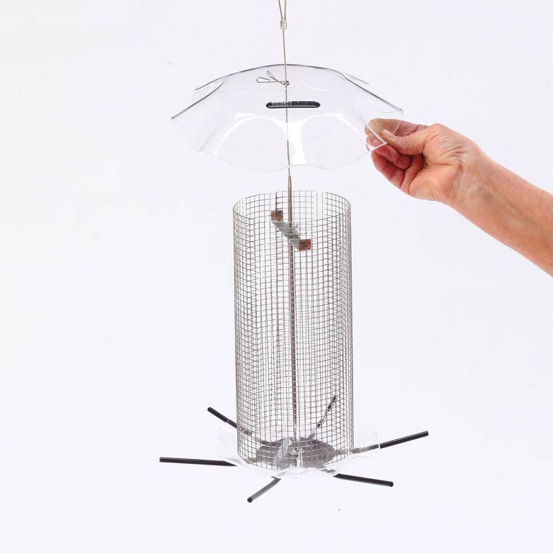 Fruit Feeder - ANCIENT GRAFFITI