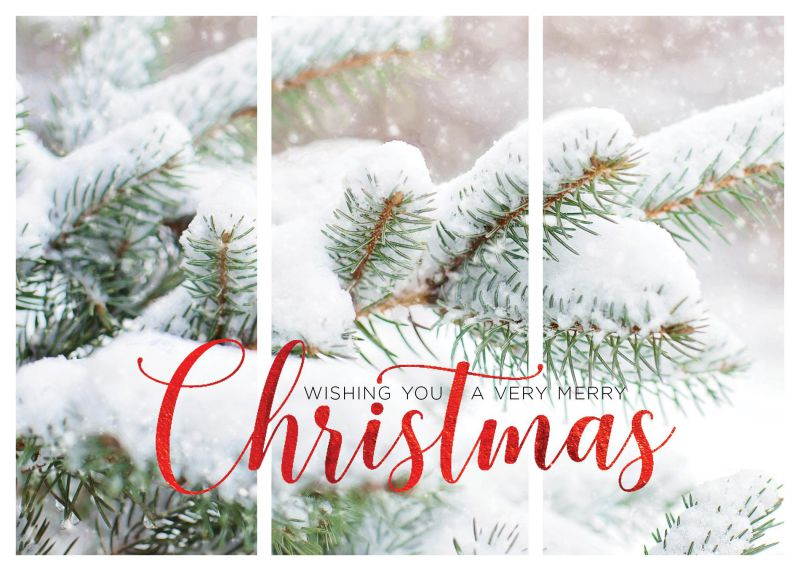 Christmas Foil Printed Greeting Cards - H1702. Greeting Card Featuring Snow-Covered Pine Trees and a Christmas Message in Red Foil. Box Set Has 25 Greeting Cards and 26 Red Foil Lined Envelopes.