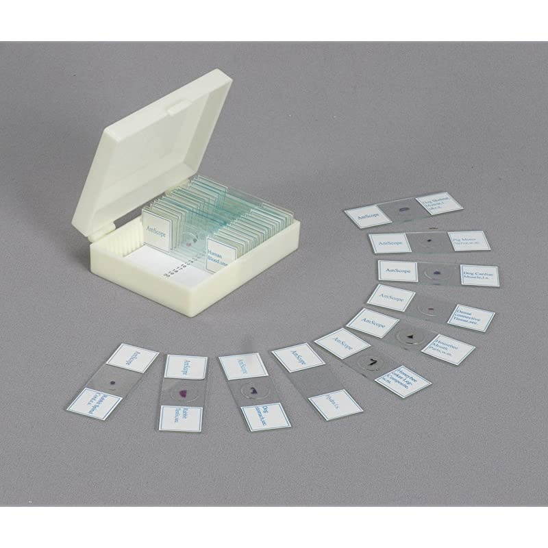 M150CPS25 Compound Monocular Microscope WF10x and WF25x Eyepieces 40x1000x Magnification LED Illumination Brightfield SingleLens Condenser Coaxial Coarse and Fine Focus Plain Stage 110V Includes Set