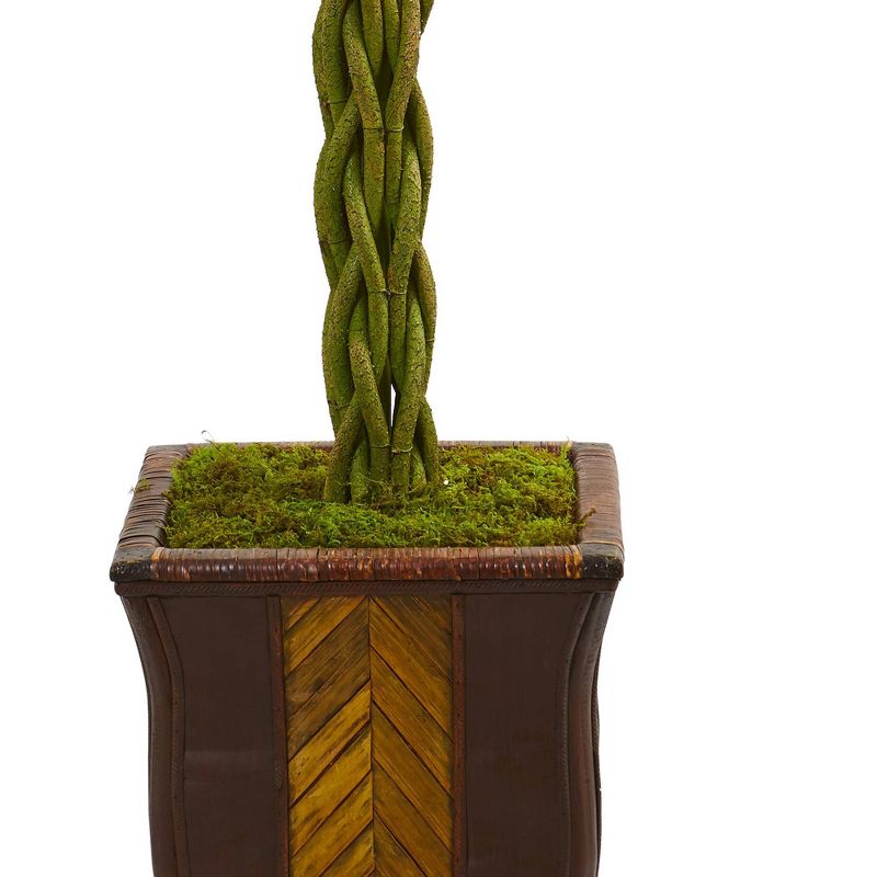 6' Artificial Braided Ficus Tree in Decorative Planter Green - Nearly Natural