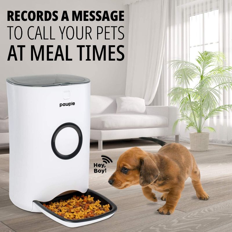 Pawple Automatic Pet Feeder Food Dispenser for Cats, Dogs, Small Animals - Features Distribution Alarms, Portion Control & Voice Recording -Programmable Timer Up to 4 Meals a Day