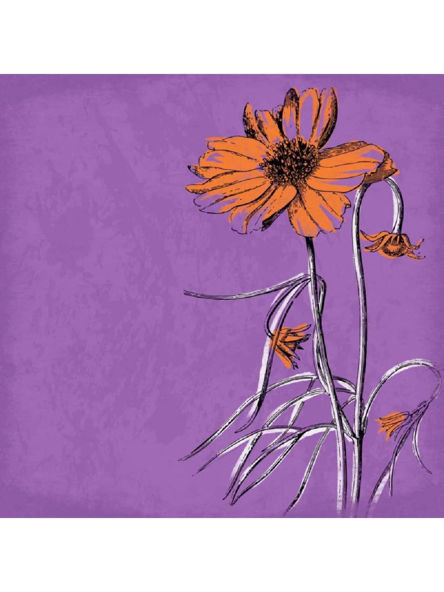 ARTE'VENUE Flowers Multicolor Canvas Wall Arts - Set of 4 (10 X 10 inch Each)