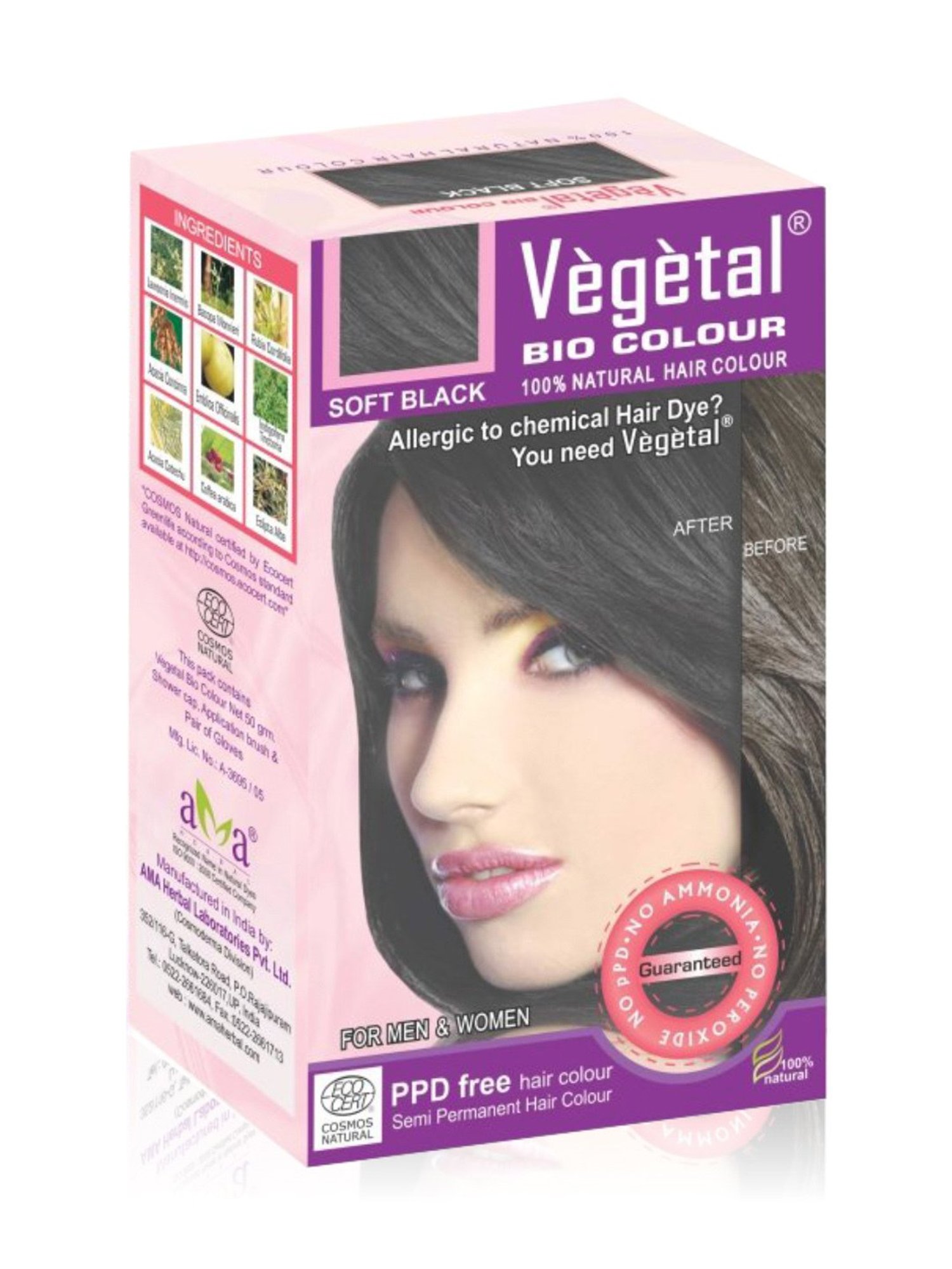 Vegetal Hair Bio Color Soft Black - 50 gm
