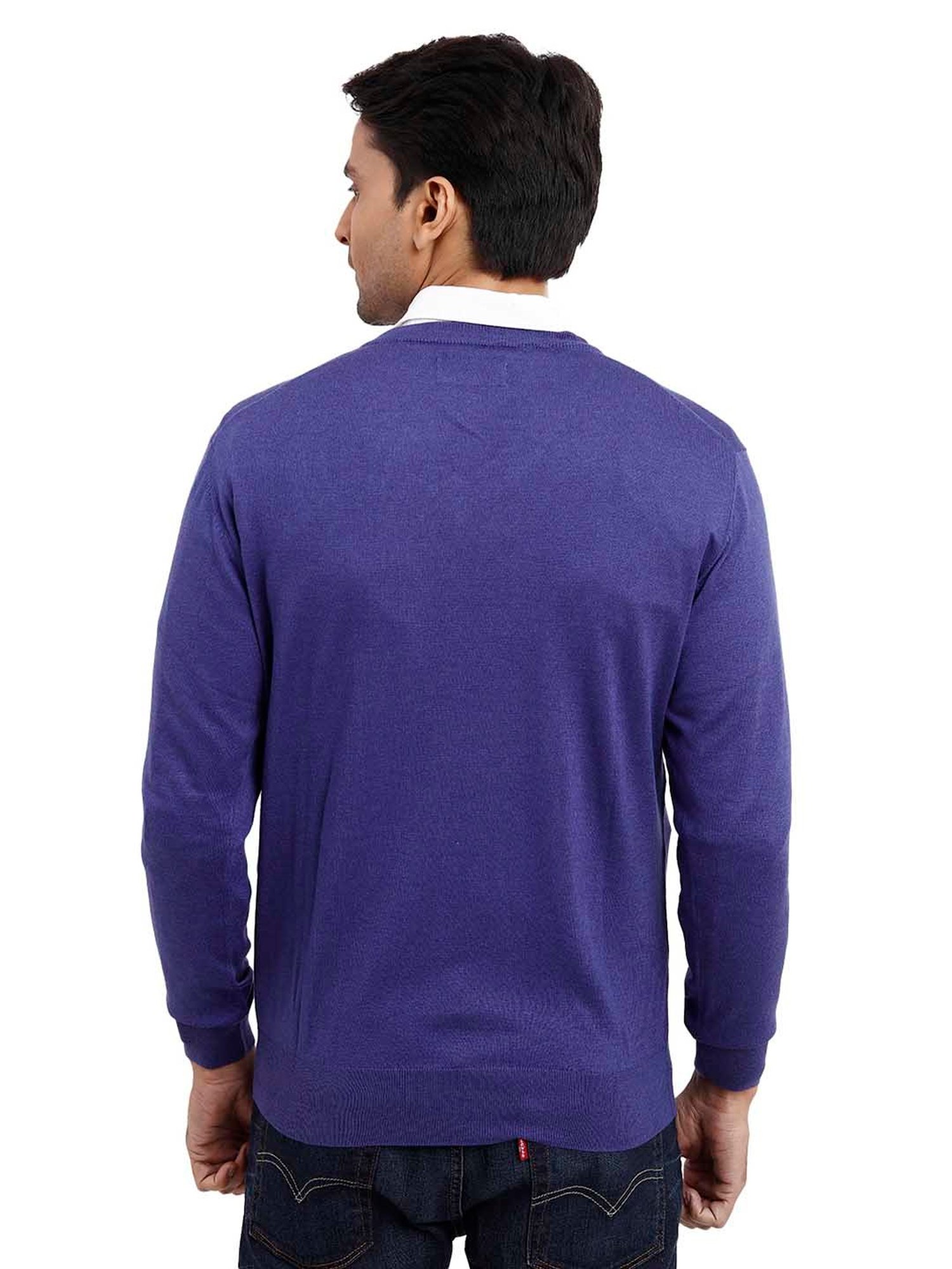 ColorPlus Indigo Blue Regular Fit V Neck Sweater