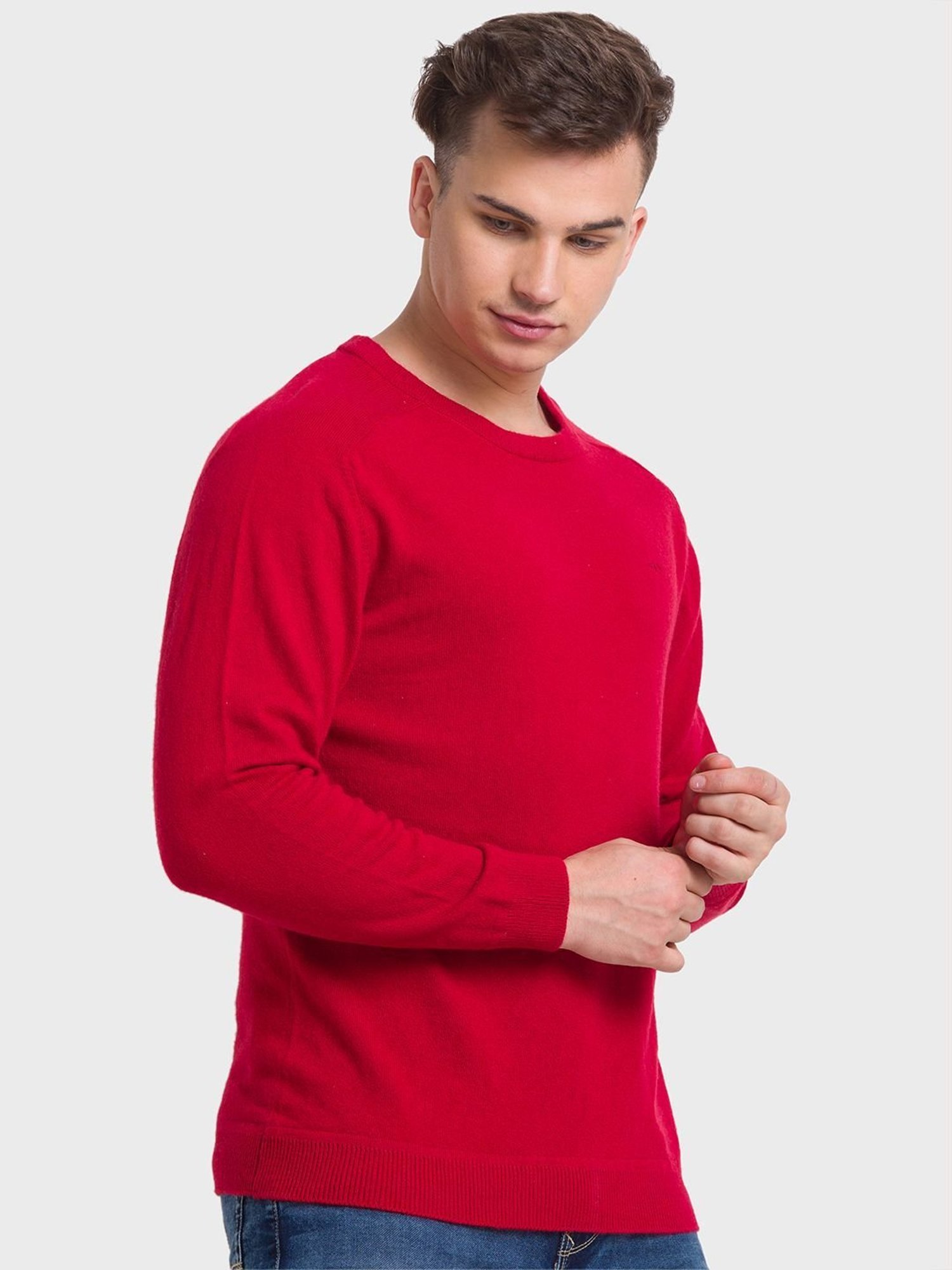 ColorPlus Red Tailored Fit Sweaters