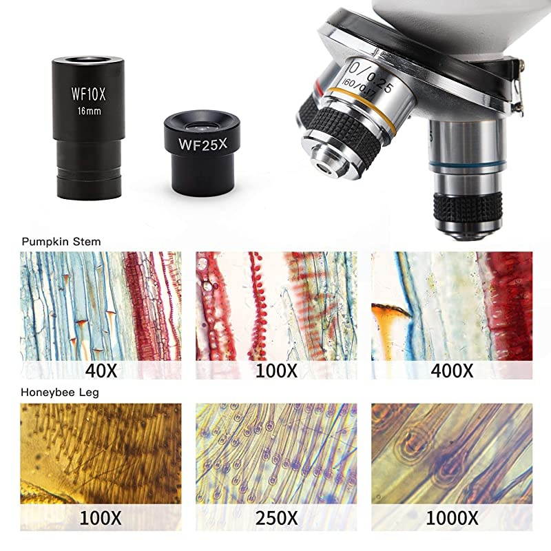SW150 Compound Monocular Student Microscope with 40X1000X Magnification Glass Optics Extra 25X Widefield Eyepiece Coarse and Fine Focusing Dual Illumination and Cordless Capability