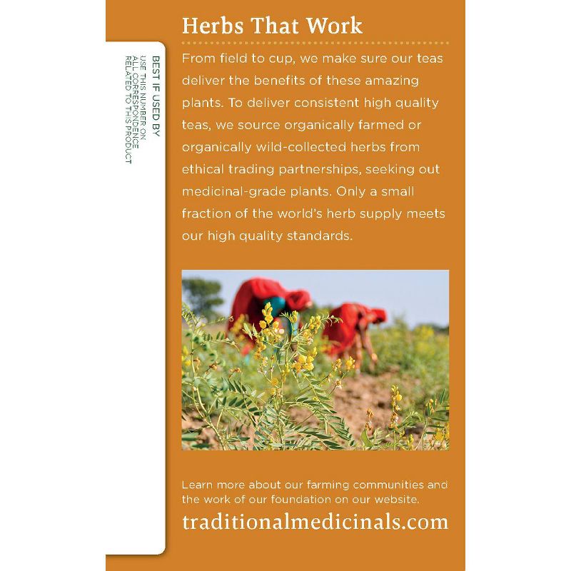 Traditional Medicinals Ginger Aid Tea - 16ct