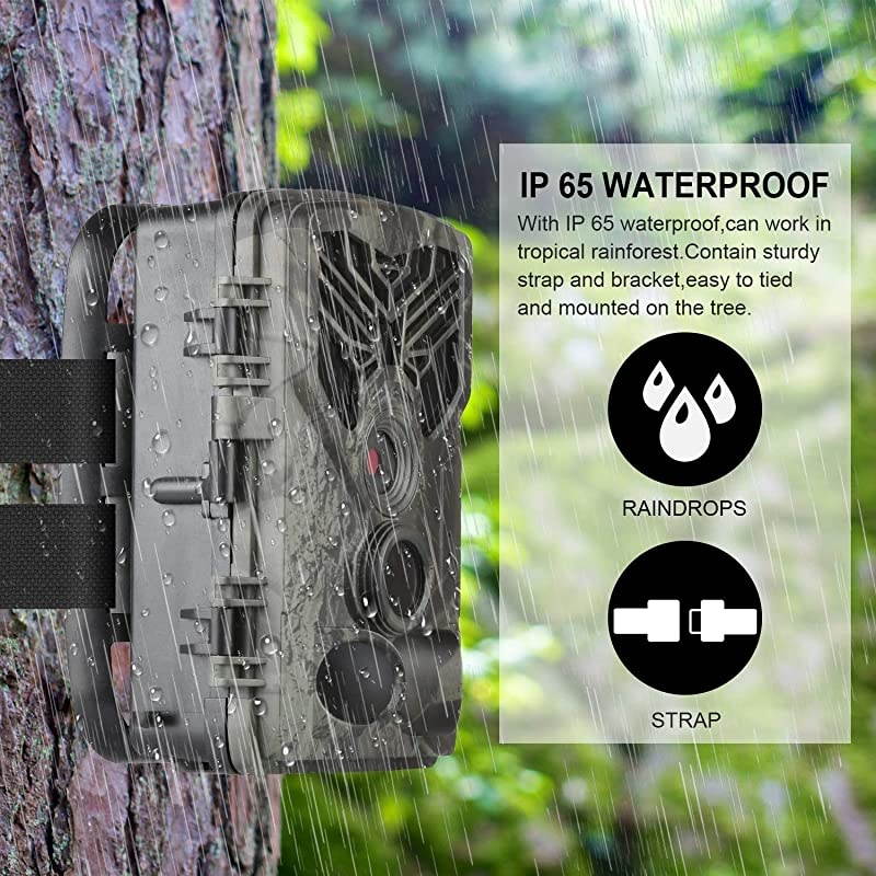 Trail Camera &ndash; 12MP 1080P FHD Wildlife Scouting Hunting Camera with 30 pcs Infra LEDs up to 65ft/20m for Wildlife Scouting Digital Surveillance Waterproof IP65
