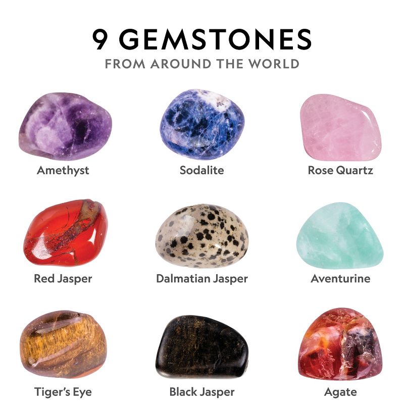 Prehistoric Sea Creatures Terrarium - Thinkbox