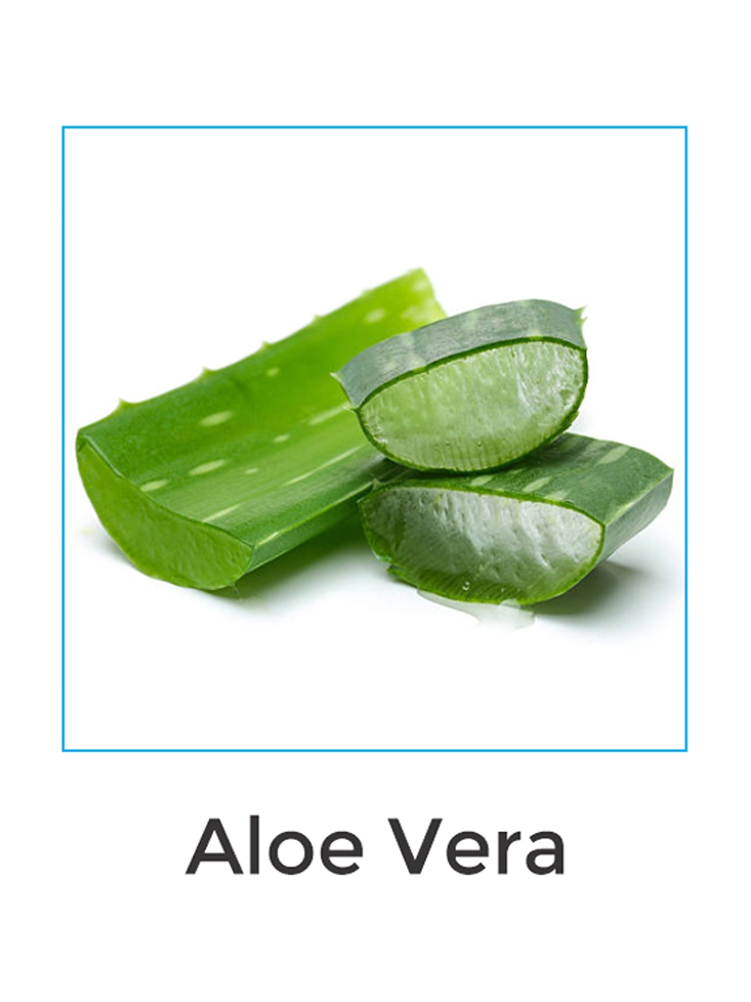 Vegetal Acnoklin-Ds Foam Face Wash - 60 gm